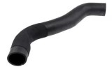 MTR 12118639 Furtun ear supraalimentare