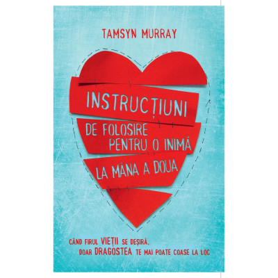 Instructiuni de folosire pentru o inima la mana a doua - Tamsyn Murray foto
