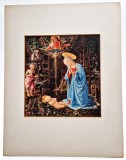 Art print 1903 FILIPPO LIPPI - Adorarea pruncului _ carton paspartu