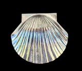 CASETĂ VINTAGE MICUTA DIN METAL MASIV IN FORMA DE SCOICA