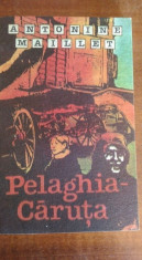 Pelaghia-caruta &amp;amp;#8211; Antonine Maillet foto