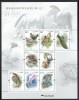 CHINA 2021 FAUNA PASARI SI ANIMALE SALBATICE, Nestampilat