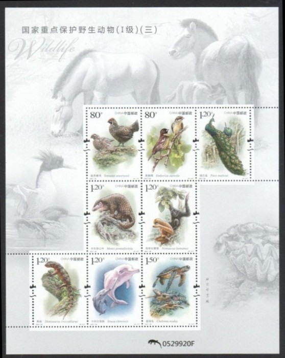 CHINA 2021 FAUNA PASARI SI ANIMALE SALBATICE
