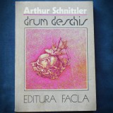 DRUM DESCHIS - ARTHUR SCHNITZLER