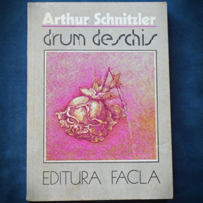 DRUM DESCHIS - ARTHUR SCHNITZLER foto