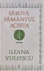 Saruta Pamantul Acesta - Ileana Vulpescu - Cartea Romaneasca, 1987, 400 pagini, brosata - Roman