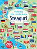 Steaguri. Prima mea carte cu autocolante