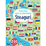 Steaguri. Prima mea carte cu autocolante