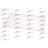 Filtru polen Cadillac BLS; Fiat Croma (194); Opel Combo, Corsa C (X01), Signum (Z03), Tigra Twintop (X04), Vectra C (Z02); Saab 9-3 (YS3F), , SRLine