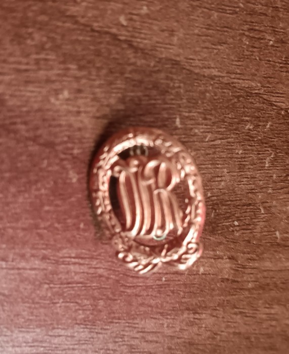 QW9 N7 39 - insigna - tematica heraldica