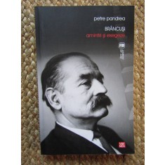 Petre Pandrea - Brancusi. Amintiri si exegeze
