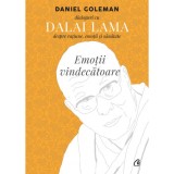 Emotii vindecatoare ed. II, Daniel Goleman, Curtea Veche Publishing