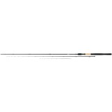 Lanseta N&#039;Zon Extension Feeder 3.05m 40g 2+2 trons, Daiwa