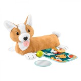 FISHER PRICE CATELUS 3 IN 1 TUMMY WEDGE, Mattel