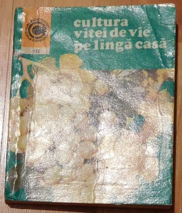 Cultura vitei de vie pe langa casa de Avram Tudosie Caleidoscop