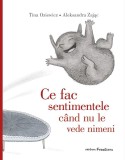 Cumpara ieftin Ce Fac Sentimentele Cand Nu Le Vede Nimeni, Tina Oziewicz - Editura Frontiera