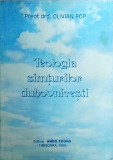 Teologia simturilor duhovnicesti - Olivian Pop, Carte religioasa, 1999, 94 pagini