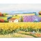Tablou 70x50cm peisaj cu floarea soarelui si lavanda pictat manual, Colt de rai, ulei pe panza in cutit efect 3D