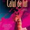 Calul de lut &ndash; Anuradha Roy