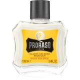 Proraso Wood and Spice balsam pentru barba 100 ml