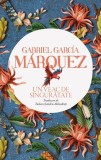 Un veac de singurătate - Gabriel Garc&iacute;a M&aacute;rquez