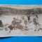 POZA Tip carte postala FAMILIE LA PLAJA ? 1925