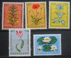 CV1 1960 SERIE OLANDA