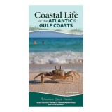 Carte Geografie &amp; Ghiduri Turistice: Coastal Life of the Atlantic and Gulf Coasts