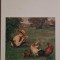 Natur-Geschichten von Katzen, Froschen und allerlei Getier &ndash; Jules Renard