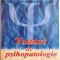 TRATAT DE PSIHOPATOLOGIE , ED. a - II - a de CONSTANTIN ENACHESCU , 2005 * PREZINTA SUBLINIERI CU CREIONUL