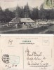Azuga, Bucegi - Stana Retivoi-rara, perfin, Circulata, Printata