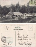 Azuga, Bucegi - Stana Retivoi-rara, perfin