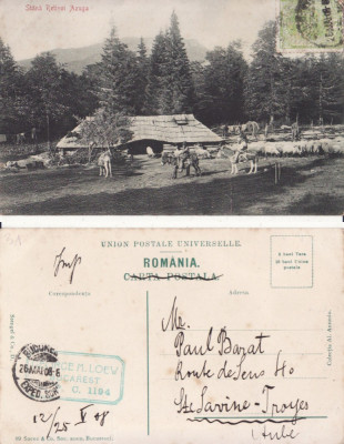 Azuga, Bucegi - Stana Retivoi-rara, perfin foto