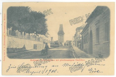 380 - MEDIAS, Sibiu, The man with the wheelbarrow, Litho, Romania - old postcard - used - 1900 foto