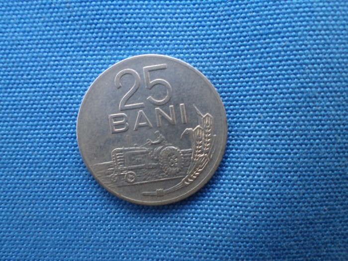 25 BANI 1966