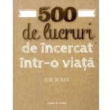 Elise de Rijck - 500 de lucruri de incercat intr-o viata - 138049