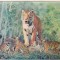 bnk cp Carte postala 3D - Tigri - Japonia - Wonder Co SSP-308