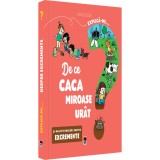 Explica-mi de ce caca miroase urat, Larrousse, Rao