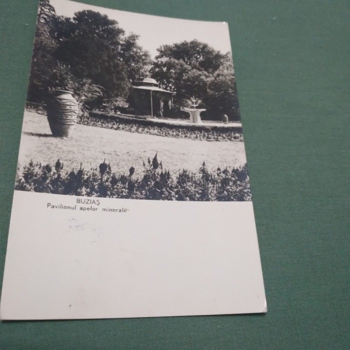 CARTE POSTALA -BUZIAS -PAVILIONUL APELOR MINERALE CIRCULATA