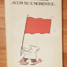 Acum nu e momentul de Mihail Stanescu