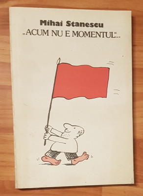 Acum nu e momentul de Mihail Stanescu foto