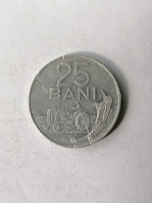 25 bani 1982 foto