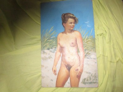 nud ulei pe carton dim 32x19cm nesemnat foto