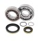 Set rulmenti ambielaj Gas Gas EC 200 05- 07, EC 250 300 03- 07