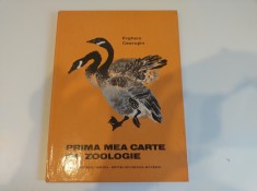 Prima mea carte de zoologie. Evgheni Cearu?in. Carte vintage copii foto