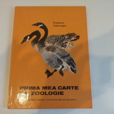 Prima mea carte de zoologie. Evgheni Cearușin. Carte vintage copii