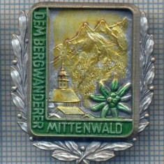 AX 204 INSIGNA-TURISM MONTAN-FLOARE DE COLT SI MUNTI-DEM BERGWANDERER MITTENWALD