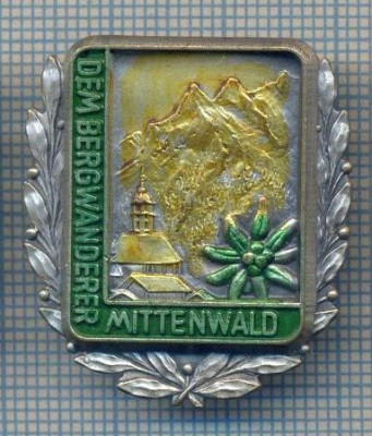 AX 204 INSIGNA-TURISM MONTAN-FLOARE DE COLT SI MUNTI-DEM BERGWANDERER MITTENWALD foto