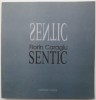 Sentic - Florin Caragiu - Roman