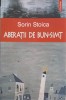 Aberatii de bun-simt - Sorin Stoica, Polirom, 2007, Roman, Proza Ego, 210 pagini